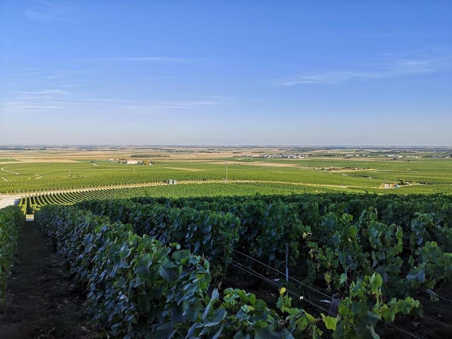 Gite "La Bulle De Lena" Avec Petit-Dejeuner Garage Et Parking Flavigny Экстерьер фото